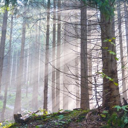 Huttlingen Landgasthof Falken المظهر الخارجي الصورة
