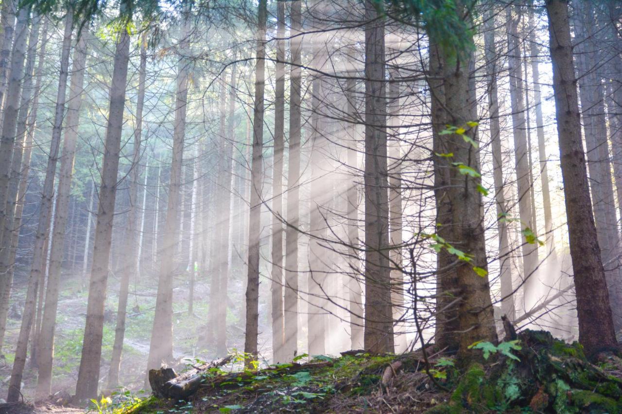 Huttlingen Landgasthof Falken المظهر الخارجي الصورة
